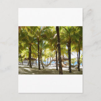 Hammock and Palm Trees Postcard