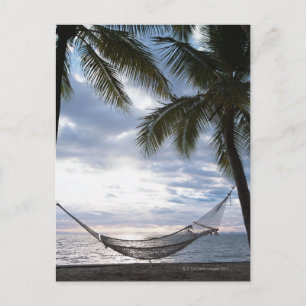 Hammock Postcard