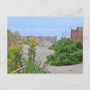 Hammonasset Beach Postcard