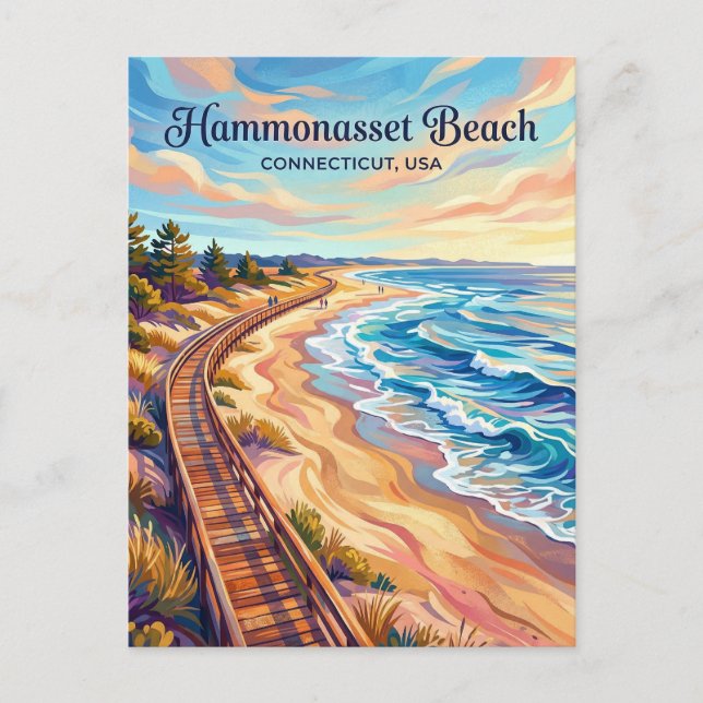 Hammonasset Beach State Park Connecticut Postcard (Front)