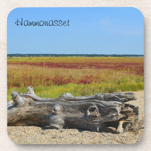 Hammonasset Coaster