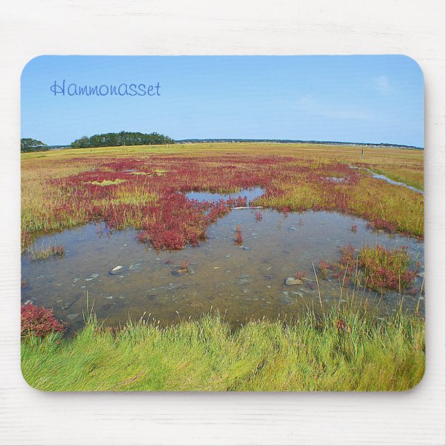 Hammonasset Mousepad (Front)