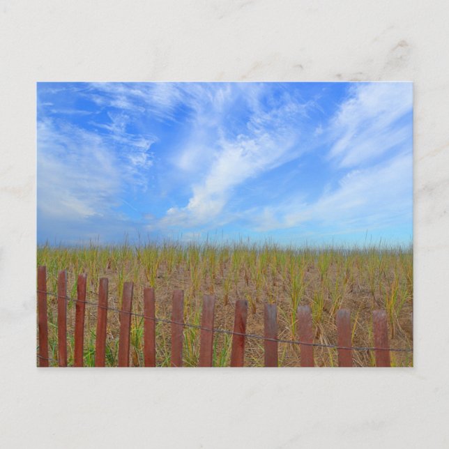 Hammonasset Postcard (Front)