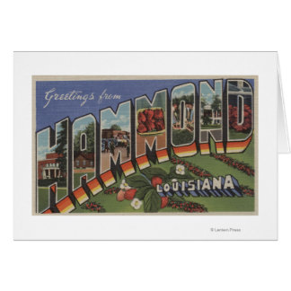 Hammond, Louisiana - Large Letter Scenes