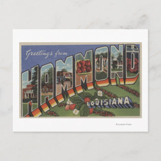 Hammond, Louisiana - Large Letter Scenes Postcard
