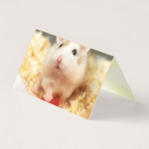 Hammyville - Cute Hamster