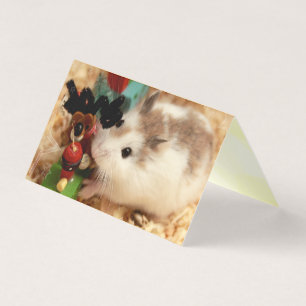 Hammyville - Cute Hamster