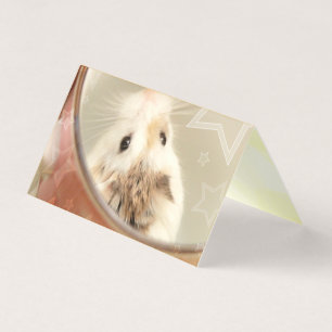 Hammyville - Cute Hamster
