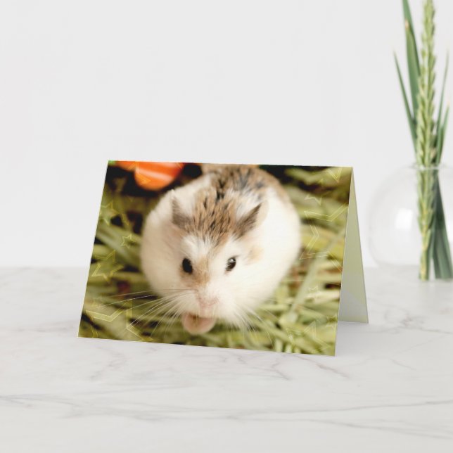 Hammyville - Cute Hamster Card (Front)
