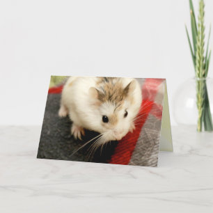 Hammyville - Cute Hamster Card
