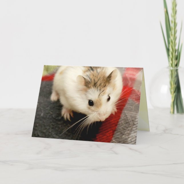 Hammyville - Cute Hamster Card (Front)