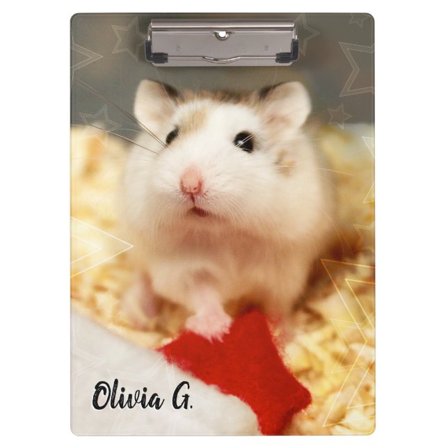 Hammyville - Cute Hamster Clipboard (Front)