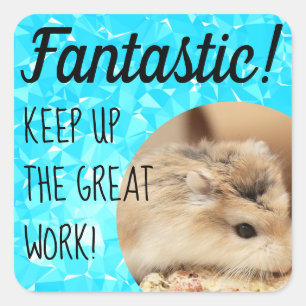 HammyVille - Cute Hamster Fantastic Great Work Square Sticker