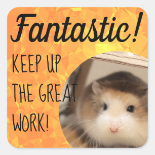 HammyVille - Cute Hamster Fantastic Great Work Square Sticker