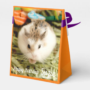 Hammyville - Cute Hamster Favor Box