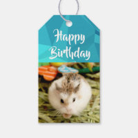 Hammyville - Cute Hamster
