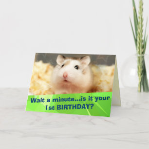 Hammyville - Cute Hamster Happy Birthday Card