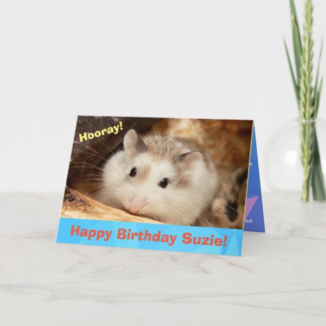 Hammyville - Cute Hamster Happy Birthday Card (Front)