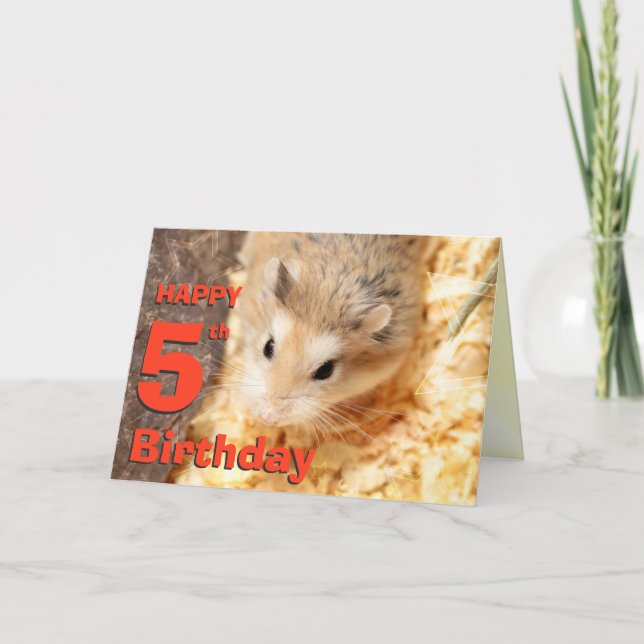 Hammyville - Cute Hamster Happy Birthday Card (Front)