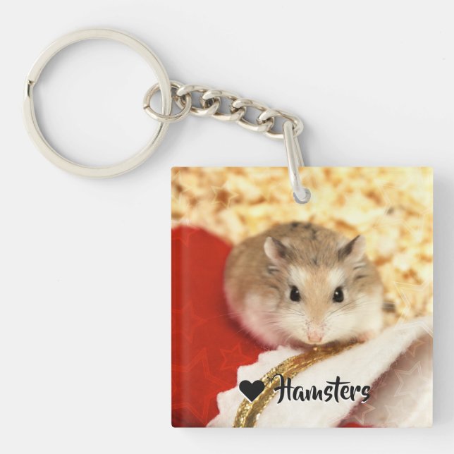 Hammyville - Cute Hamster Keychain (Front)