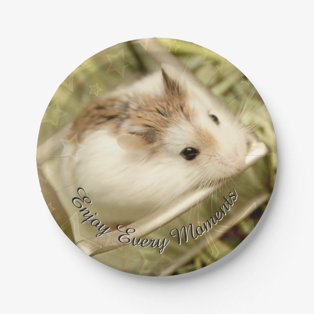 Hammyville - Cute Hamster Paper Plate (Front)