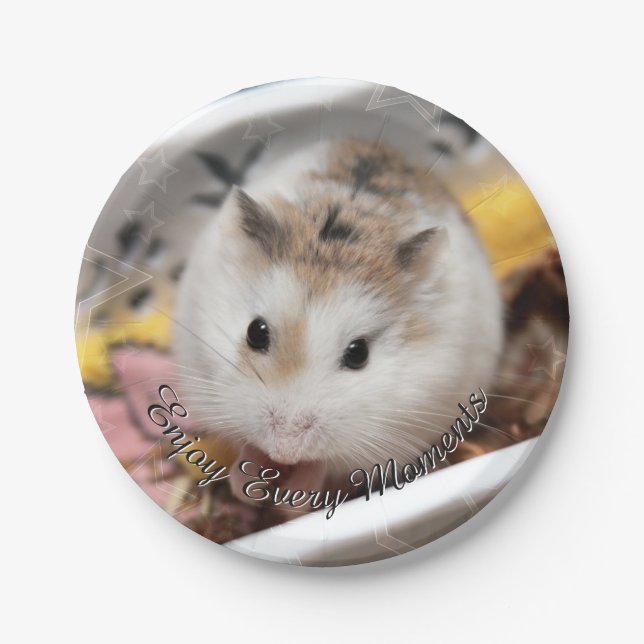 Hammyville - Cute Hamster Paper Plate (Front)