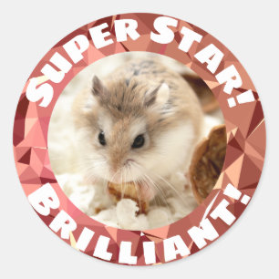 Hammyville - Cute Hamster Sparkly Encouragement Classic Round Sticker