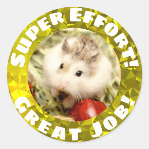 Hammyville - Cute Hamster Sparkly Encouragement Classic Round Sticker