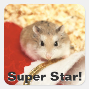 Hammyville - Cute Hamster Square Sticker