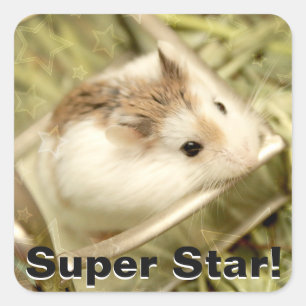 Hammyville - Cute Hamster Square Sticker