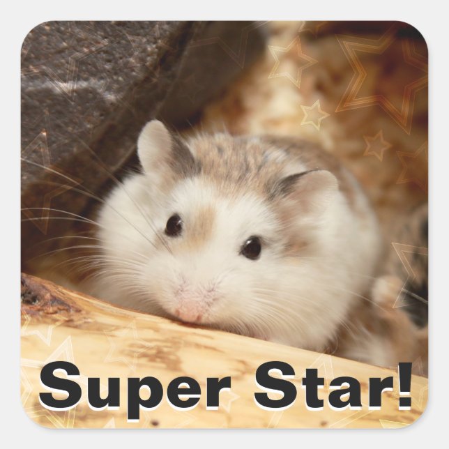 Hammyville - Cute Hamster Square Sticker (Front)