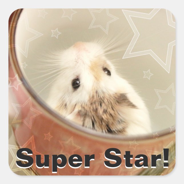 Hammyville - Cute Hamster Square Sticker (Front)