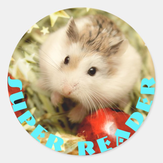 Hammyville - Cute Hamster Super Reader Classic Round Sticker (Front)