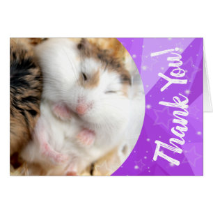 Hammyville - Cute Hamster Thank You