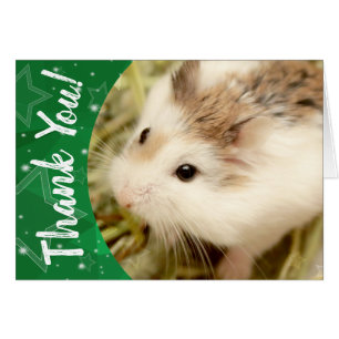 Hammyville - Cute Hamster Thank You
