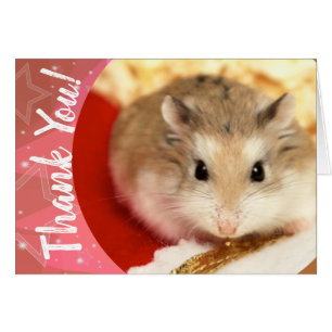 Hammyville - Cute Hamster Thank You