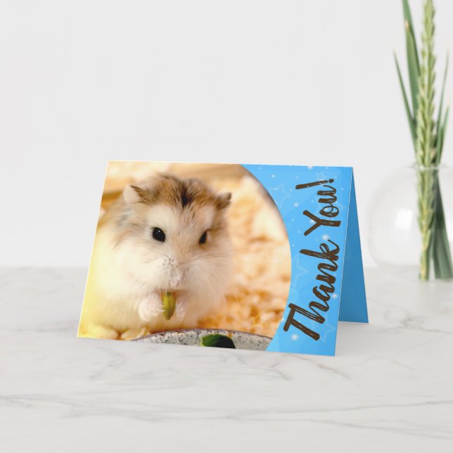 Hammyville - Cute Hamster Thank You (Front)