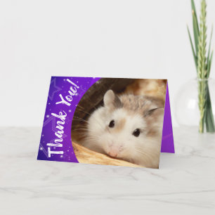 Hammyville - Cute Hamster Thank You Card