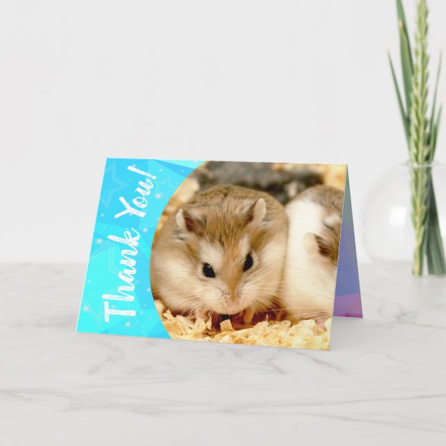 Hammyville - Cute Hamster Thank You Card (Front)