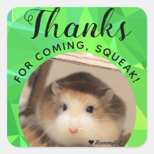HammyVille - Cute Hamster Thanks for Coming Squeak Square Sticker