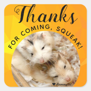 HammyVille - Cute Hamster Thanks for Coming Squeak Square Sticker