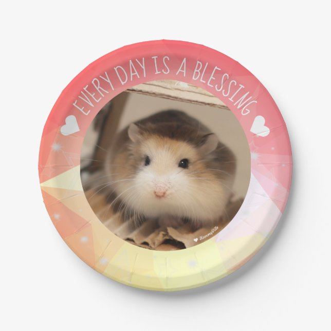 Hammyville - Cute Robo Hamster Blessing Paper Plate (Front)