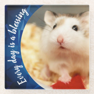 Hammyville - Cute Robo Hamster Glass Coaster