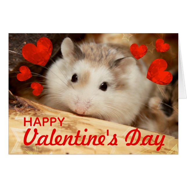 HammyVille - Cute Robo Hamster Valentine (Front Horizontal)