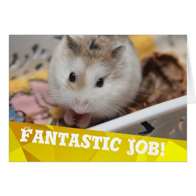 Hammyville - Hamster Congratulations (Front Horizontal)