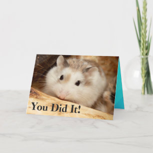Hammyville - Hamster Congratulations Card