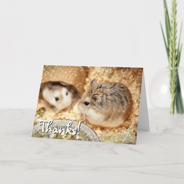 Hammyville - Hamster Friendship Card (Front)
