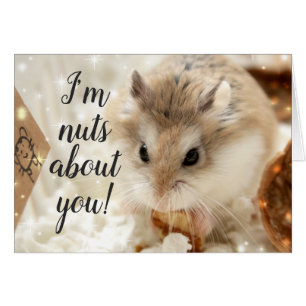 Hammyville - Hamster Nuts About You