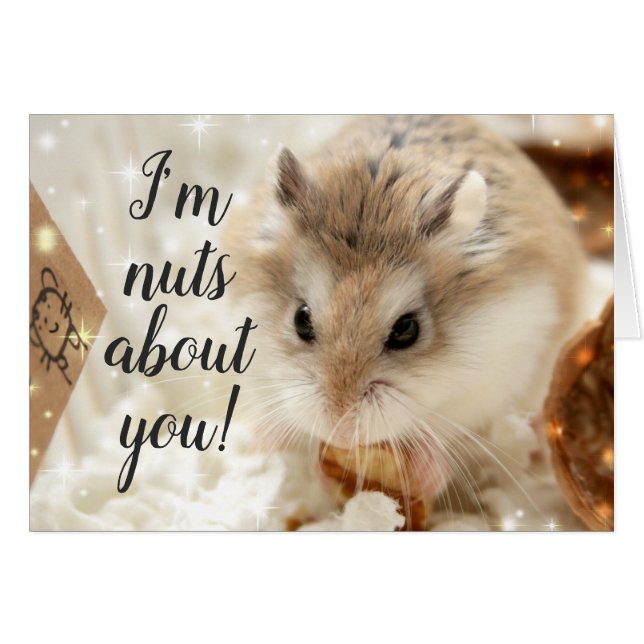 Hammyville - Hamster Nuts About You (Front Horizontal)