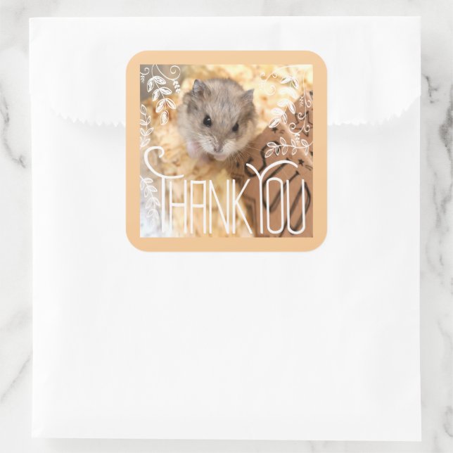 Hammyville - Hamster Thank You Square Sticker (Bag)